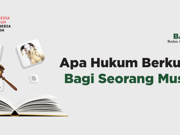 Apa Hukum Berkurban Bagi Seorang Muslim